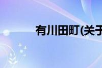 有川田町(关于有川田町的简介)