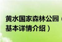 黄水国家森林公园（关于黄水国家森林公园的基本详情介绍）