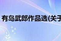 有岛武郎作品选(关于有岛武郎作品选的简介)