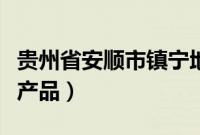 贵州省安顺市镇宁地图（安顺镇宁县地理标志产品）