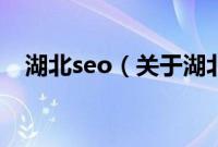 湖北seo（关于湖北seo的基本详情介绍）