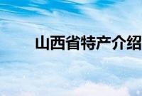 山西省特产介绍（山西省特产大全）