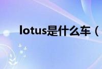 lotus是什么车（莲花lotus跑车价格）