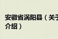 安徽省涡阳县（关于安徽省涡阳县的基本详情介绍）