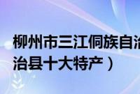 柳州市三江侗族自治县特产（柳州三江侗族自治县十大特产）