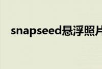 snapseed悬浮照片教程（有什么思路吗）