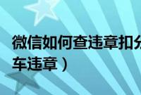 微信如何查违章扣分（微信用哪个公众号号查车违章）