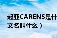 起亚CARENS是什么车型（起亚CARENS中文名叫什么）