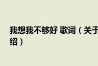 我想我不够好 歌词（关于我想我不够好 歌词的基本详情介绍）