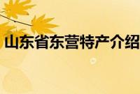 山东省东营特产介绍（山东省东营特产列表）