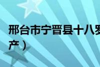 邢台市宁晋县十八罗汉（邢台市宁晋县十大特产）