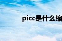 picc是什么缩写（picc是什么）