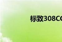 标致308CC标准功能如何