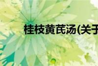 桂枝黄芪汤(关于桂枝黄芪汤的简介)