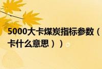 5000大卡煤炭指标参数（5500大卡是什么煤（煤炭5500大卡什么意思））