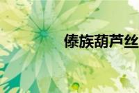 傣族葫芦丝（瑞丽市特产）