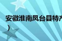 安徽淮南凤台县特产（淮南市凤台县十大特产）