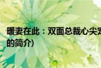 暖妻在此：双面总裁心尖宠(关于暖妻在此：双面总裁心尖宠的简介)