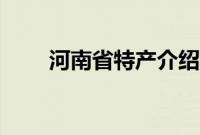 河南省特产介绍（河南省特产大全）