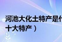 河池大化土特产是什么（河池大化瑶族自治县十大特产）