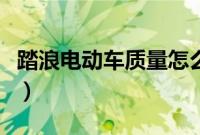 踏浪电动车质量怎么样（踏浪电动车排名第几）