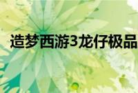 造梦西游3龙仔极品属性（造梦西游3龙仔）