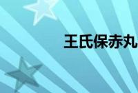 王氏保赤丸（崇川区特产）