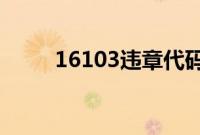 16103违章代码（1610违章代码）