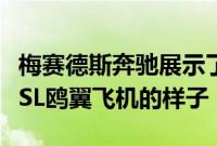 梅赛德斯奔驰展示了在车库中放置60年的300SL鸥翼飞机的样子