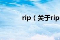 rip（关于rip的基本详情介绍）