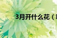 3月开什么花（哪些花三月份开花）