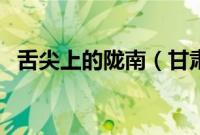 舌尖上的陇南（甘肃省陇南小吃美食介绍）