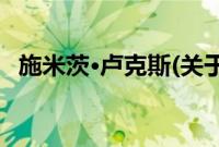 施米茨·卢克斯(关于施米茨·卢克斯的简介)