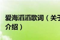 爱海滔滔歌词（关于爱海滔滔歌词的基本详情介绍）