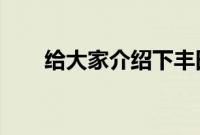 给大家介绍下丰田亚洲龙性能怎么样