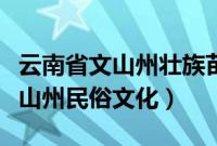 云南省文山州壮族苗族自治州风俗（云南省文山州民俗文化）