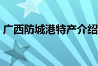 广西防城港特产介绍（广西防城港特产列表）