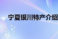 宁夏银川特产介绍（宁夏银川特产列表）