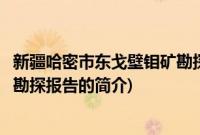 新疆哈密市东戈壁钼矿勘探报告(关于新疆哈密市东戈壁钼矿勘探报告的简介)