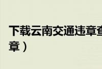 下载云南交通违章查询（云南微信公众号查违章）