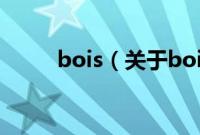 bois（关于bois的基本详情介绍）