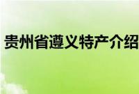 贵州省遵义特产介绍（贵州省遵义特产列表）