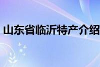 山东省临沂特产介绍（山东省临沂特产列表）