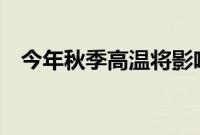 今年秋季高温将影响苹果采摘的 3 种方式