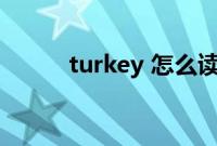 turkey 怎么读（turkey可数吗）