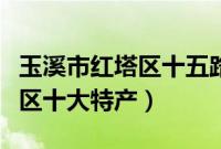 玉溪市红塔区十五路公交车路线（玉溪市红塔区十大特产）