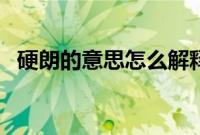 硬朗的意思怎么解释（硬朗的意思是什么）