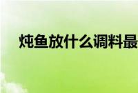 炖鱼放什么调料最佳（炖鱼放什么调料）