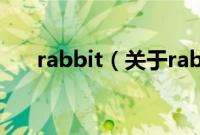 rabbit（关于rabbit的基本详情介绍）