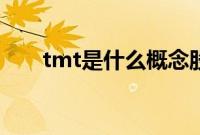 tmt是什么概念股（tmt是什么概念）